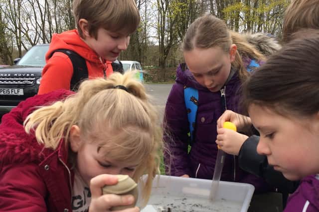 Hundreds of schoolchildren have been hooked on Trout In The Classroom, part of the Trusts Ribble LifeTogether project,
