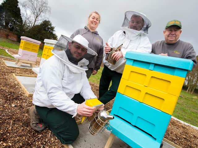 Installing the first hives at the Westleigh Centre, now the project is expanding to UCLan's main campus