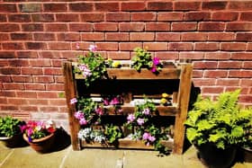 Bainnes School makes good use of recycling pallets in their sensory garden