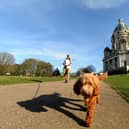 Sunny weather at Williamson Park in Lancaster.