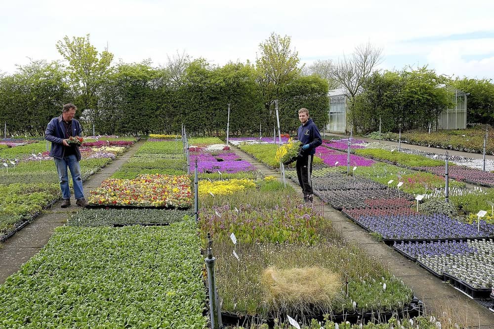 Garden centres will be allowed to open in England from next week as the Government begins to take measures to ease lockdown restrictions