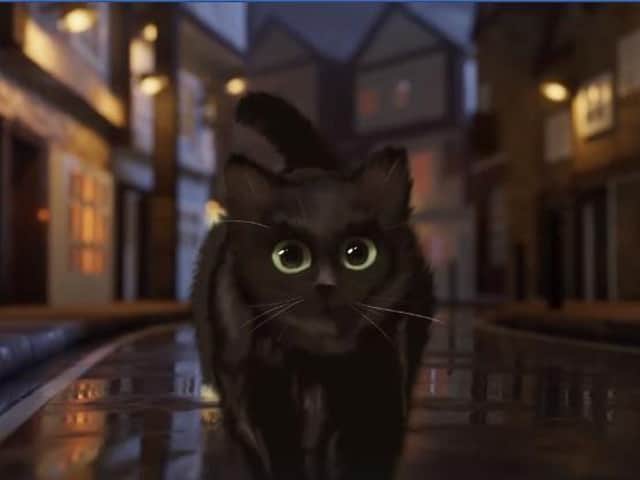 Gulliver the Street Cat (still from the film)