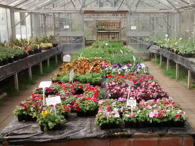 Plant World at Myerscough College will reopen on Saturday (May 15) from 11am till 3pm