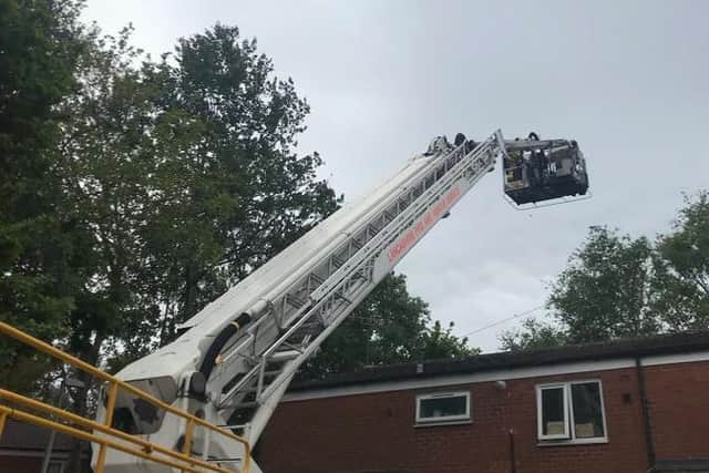 Firefighters came to the aid of a cat who had managed to getstuck up a 49ft tree in Preston. (Photo by @Preston_Fire)