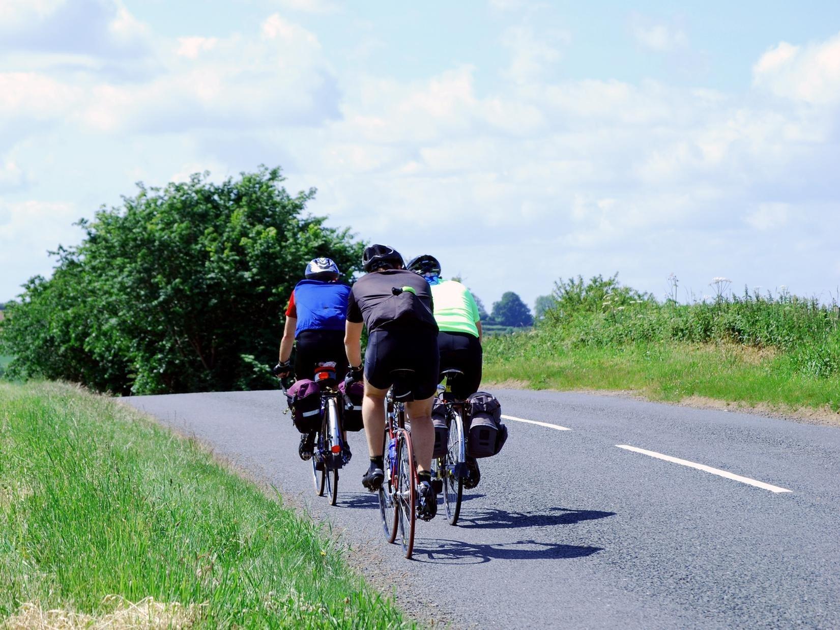 download free the cycle beginners guide download free the cycle beginners guide