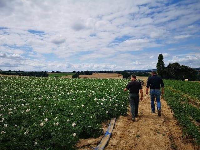 Levity's fertilisers are in demand