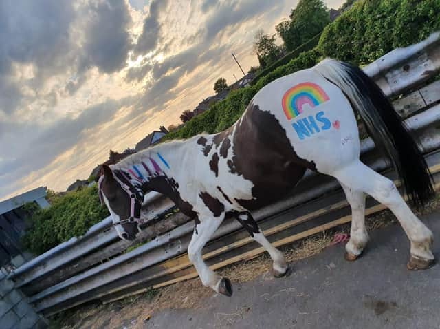 The horses are painted different colours to thank the NHS