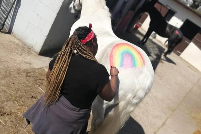 A colourful rainbow being painted on one of the horses.