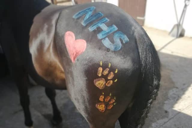 Paw prints and the NHS symbol painted on the back of a horse.