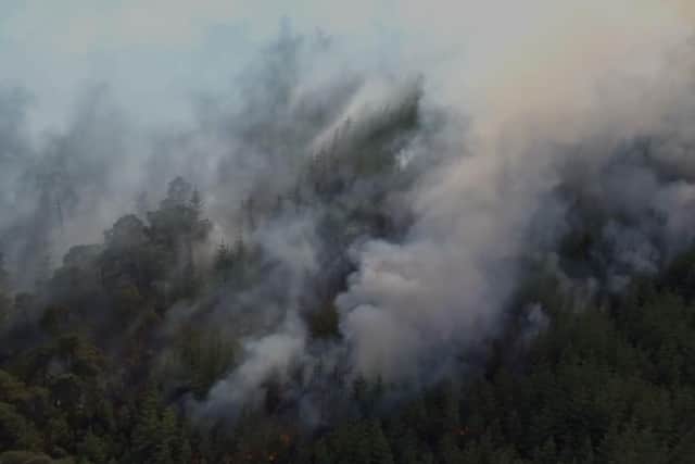 Drone footage shows the extent of the wildfire which has gutted woodland on Longridge Fell at the weekend. Credit: LFRS