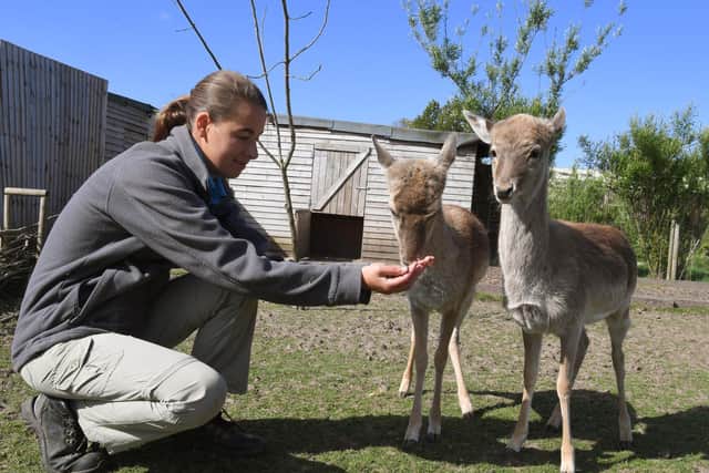 The Wildlife Centre, at Ribby Hall, has outgoings of almost 16,000 a month.