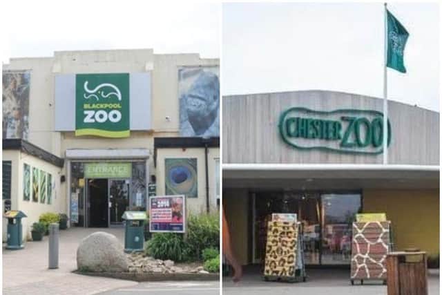 Good news for Blackpool and Chester zoos as the Government is expected to announce further easing of lockdown restrictions.
