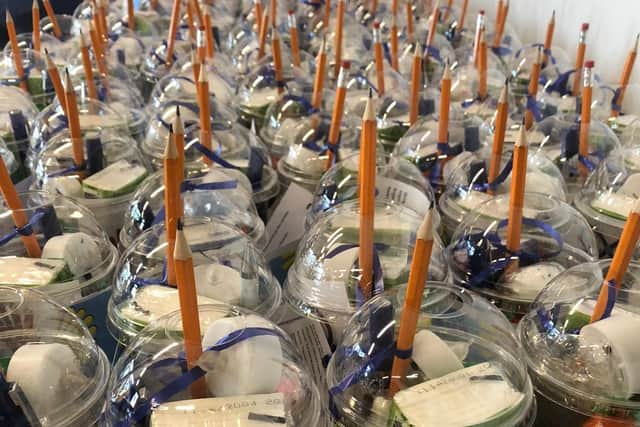 Little pots of kindness made by staff and pupils at Highfield Leadership Academy