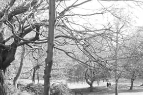 Danger lurked in the shrubbery of Winckley Square Gardens