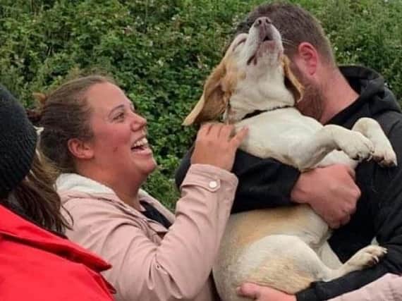 Kaylie Jenkinson is overjoyed that Jessie her beloved Beagle has been found - and thanks everyone for the massive support