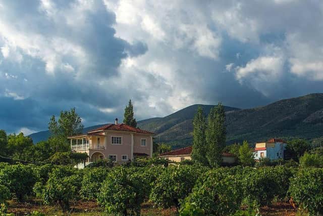 The vineyards of Greece new world wines from an old world country?