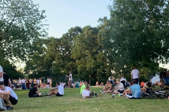 Some residents have likened the gatherings in the park to a 'music festival'