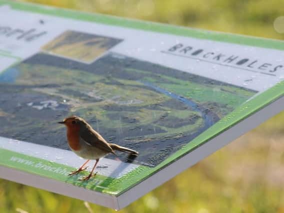 Robin perched on Brockholes sign photo by Alan Wright