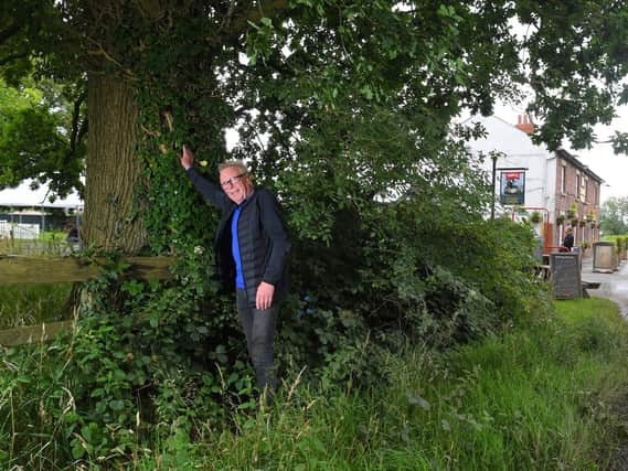 Owner Rob beside the trees he claims don't need to be chopped.