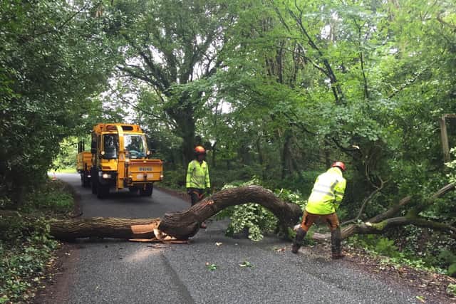 The tree is blocking Washington Lane between Whinney Lane and West Way (B5252) in Euxton this afternoon (July 23)