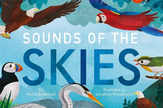 Sounds of the Skies
