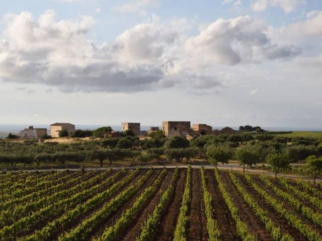 Wine producers in Sicily are creating some wonderful wines in this beautiful island landscape