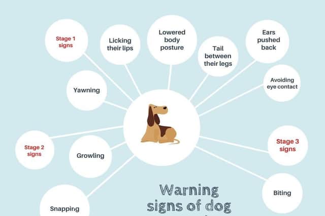 Dogs can show warning signs of aggression to protect their territory, when frightened or in pain, according to Dr Samantha Gaines, RSPCA animal welfare expert.
