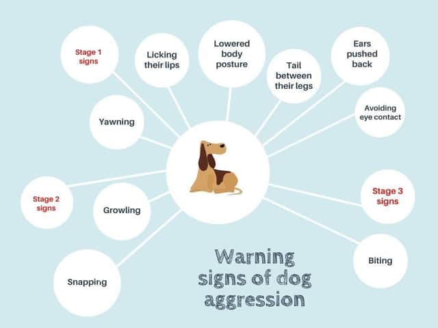 How to spot the warning signs of dog aggression, reveals RSPCA animal  welfare expert | Lancashire Evening Post