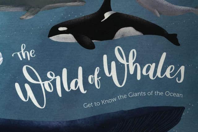 The World of Whales: Get to Know the Giants of the Ocean