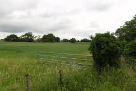 Lush green countryside will be swept away if plans for 1,1000 homes are passed, say campaigners.