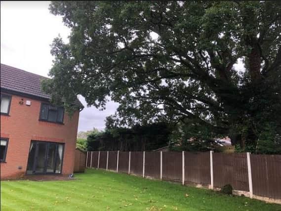 The giant oak overshadows the couple's back garden and protrudes through the boundary fence.