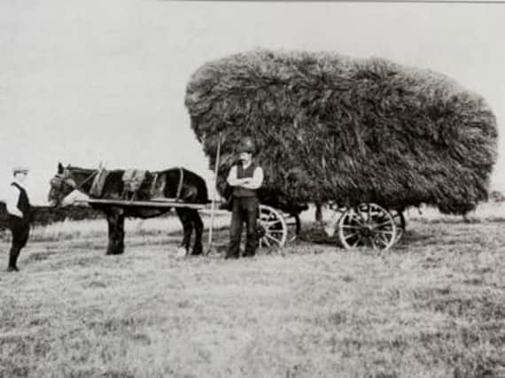 Hay cart, Bellhurst Farm, Roeburndale East, circa 1910. John Gorst is standing in front of the hay cart with his eldest son, Harry. A skilled workman was required for loading such a large quantity of hay. Before the cart was taken to the barn or the haystack, the load of hay was 'raked down' to remove loose hay. This was important to prevent hay falling onto the cleanly raked field and to prevent waste.