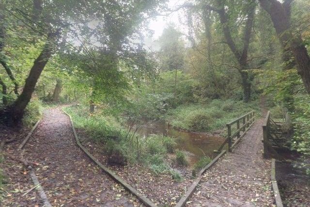 There's plenty to explore in the woods at Forge Valley. The walkway makes this option accessible to all ages.