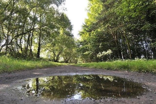 Popular with walkers and cyclists, the cinder track is a nice flat run all the way to Whitby. Alternatively, looping from Burniston to Hayburn Wyke and back is a great walk.