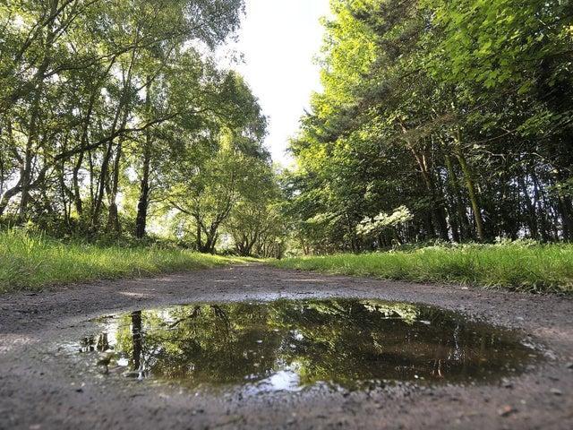Popular with walkers and cyclists, the cinder track is a nice flat run all the way to Whitby. Alternatively, looping from Burniston to Hayburn Wyke and back is a great walk.