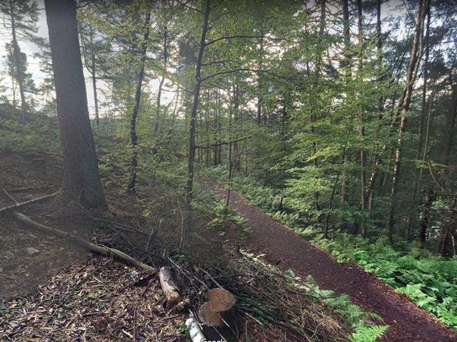 With Dalby on the doorstep it's a place to take advantage of when it comes to walks. Miles of woodland trails to explore here, and fun to be had for all ages.