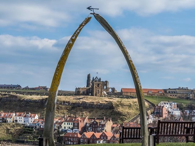 Up on the tops giving fantastic views over Whitby, take a stroll around Whitby Abbey. The easily accessible paths make it a good option for all the family.
