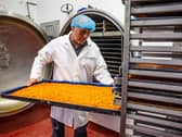 Investment has created jobs at Eurpoean Freeze Dry