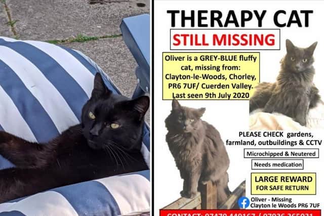 Police in Chorley are investigating the disappearance of a 'worrying' number of cats in the area in recent weeks. Pic: Lancashire Police