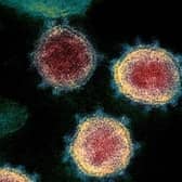 UK ‘on the edge of losing control’ of coronavirus, scientist warns