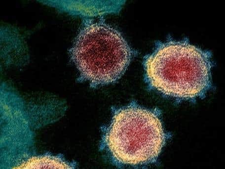 UK ‘on the edge of losing control’ of coronavirus, scientist warns
