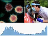 Third wave of coronavirus ‘entirely possible’, expert warns