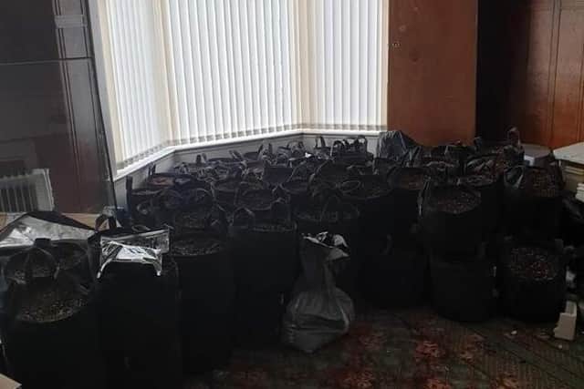 A major cannabis farm has been uncovered during a police raid in Morecambe. (Credit: Lancashire Police)