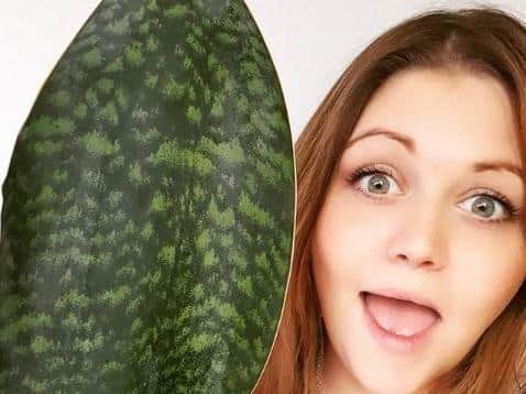 Kimberley Atkinson, founder of PlantJunkie