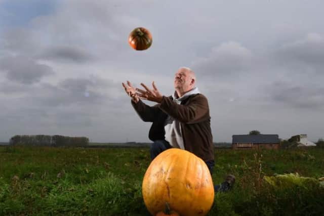 Grower Mark O'Hanlon is not allowing pumpkin picking in the fields at Big Pumpkins in Hesketh Bank due to Covid.