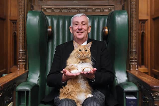 Sir Lindsay Hoyle with his Maine Coon Patrick. (Photo by UK House of Commons)