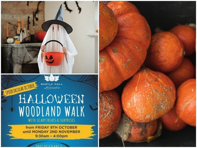 Download Halloween Squishmallows 2021 Near Me Pics