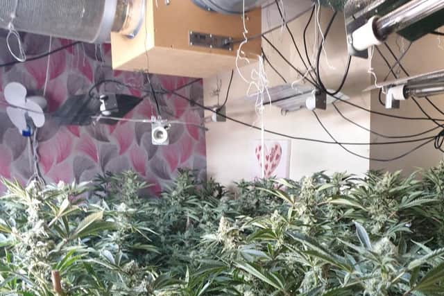 Police discovered a cannabis farm at a former hotel in Clayton-le-Moors. (Credit: National Crime Agency)