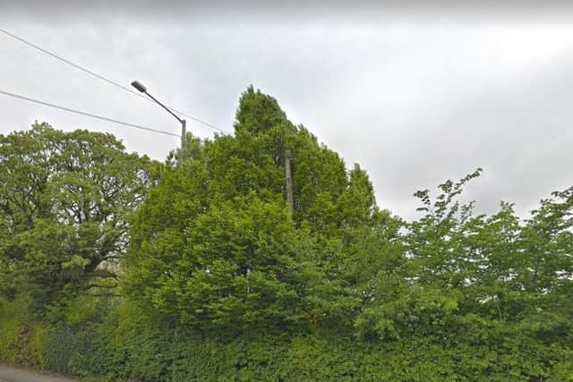 The under-threat hedgerow on the boundary of Cop Lane, Penwortham. Image courtesy of Google.