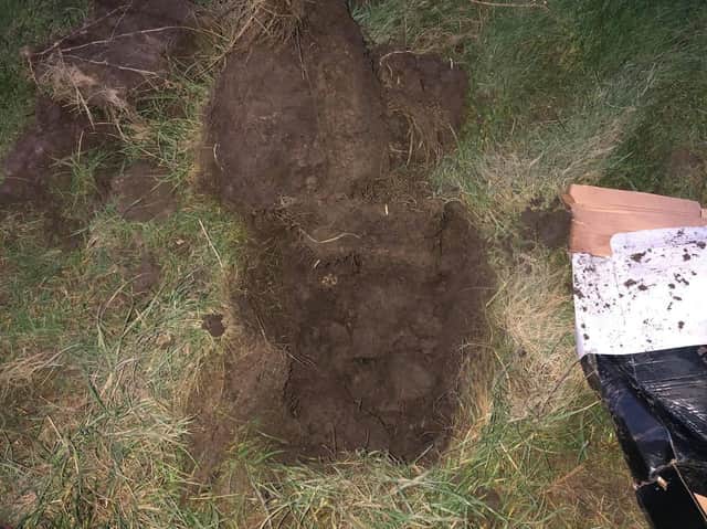 Louise Walsh found the puppies inside a shoe box buried in a shallow grave beside Shore Road, Warton, near Carnforth on Sunday (November 22)